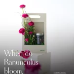 Seasonal Arrangements