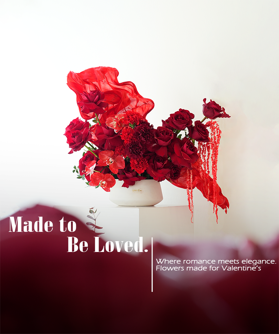 DSC02507-Recovered copy 3333333333