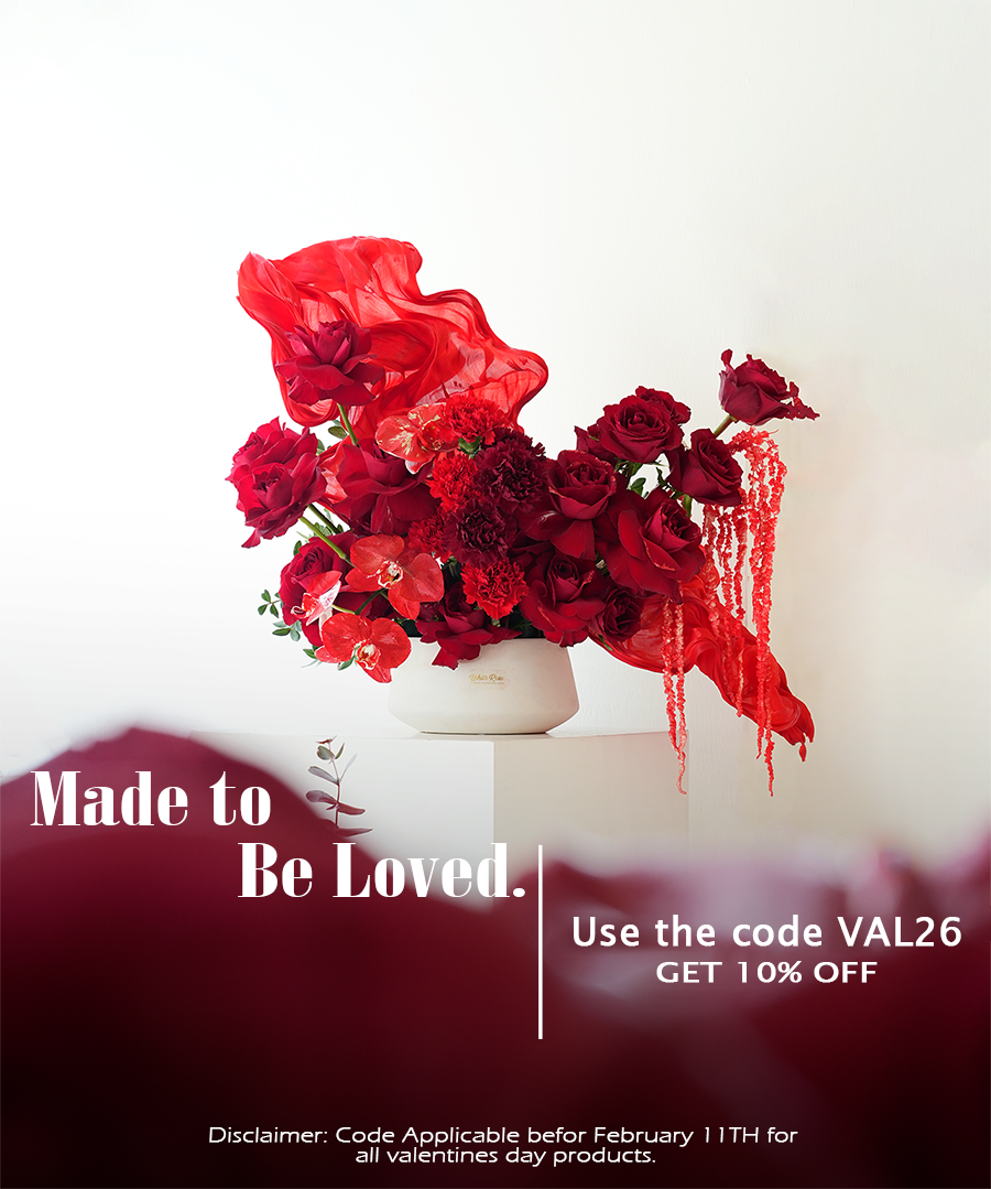 DSC02507-Recovered copy 3333333333 copy